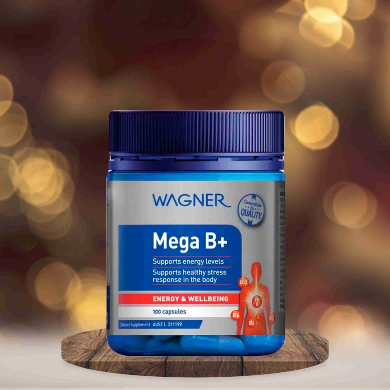 Wagner mega B+ 100 capsules